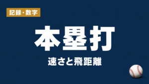 記録・数字、本塁打、速さと飛距離